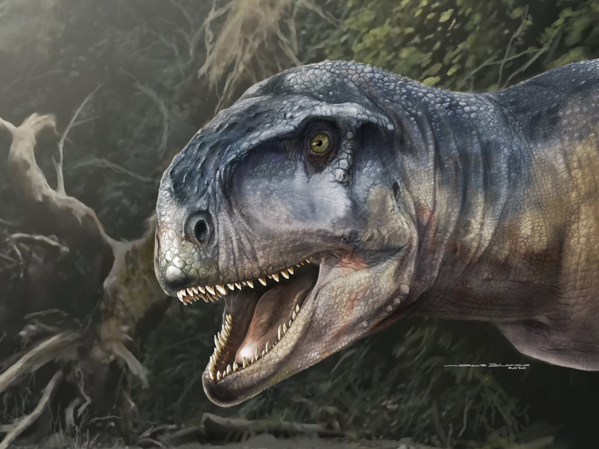 Newly Discovered Dinosaur Was Top Carnivorous Predator In Argentina Flipboard