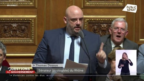Sainte-Soline : clash au Sénat entre le sénateur écologiste Thomas Dossus et Gérald Darmanin