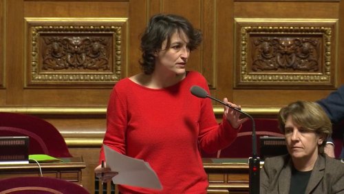 IVG : le Sénat vote une enveloppe de 500 000 € pour les rapatriements d’urgence