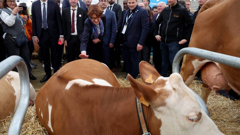 Salon de l’agriculture 2025 : ce qui change pour cette nouvelle édition