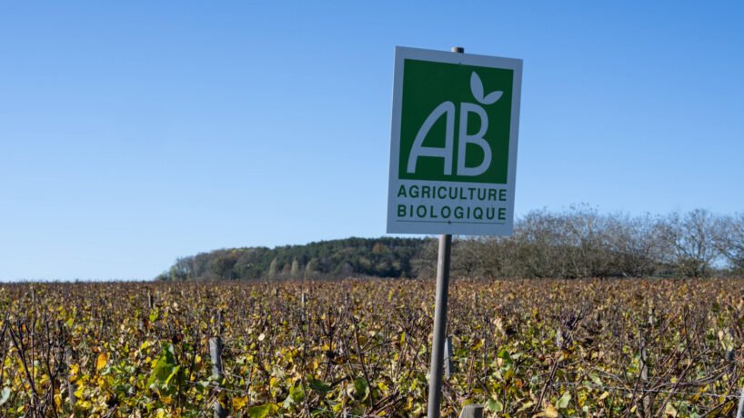 Agriculture : une commission d’enquête du Sénat propose de supprimer l’Agence Bio pour intégrer ses missions au ministère