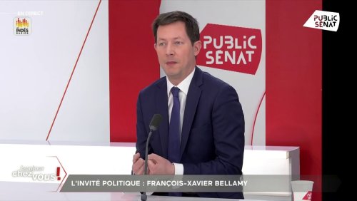 François-Xavier Bellamy (LR) « aurait voté pour la réforme et contre la motion de censure » s’il avait été député
