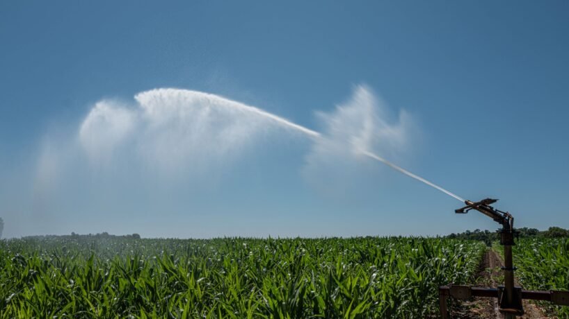 Pesticides : députés et sénateurs trouvent un accord sur la loi Duplomb