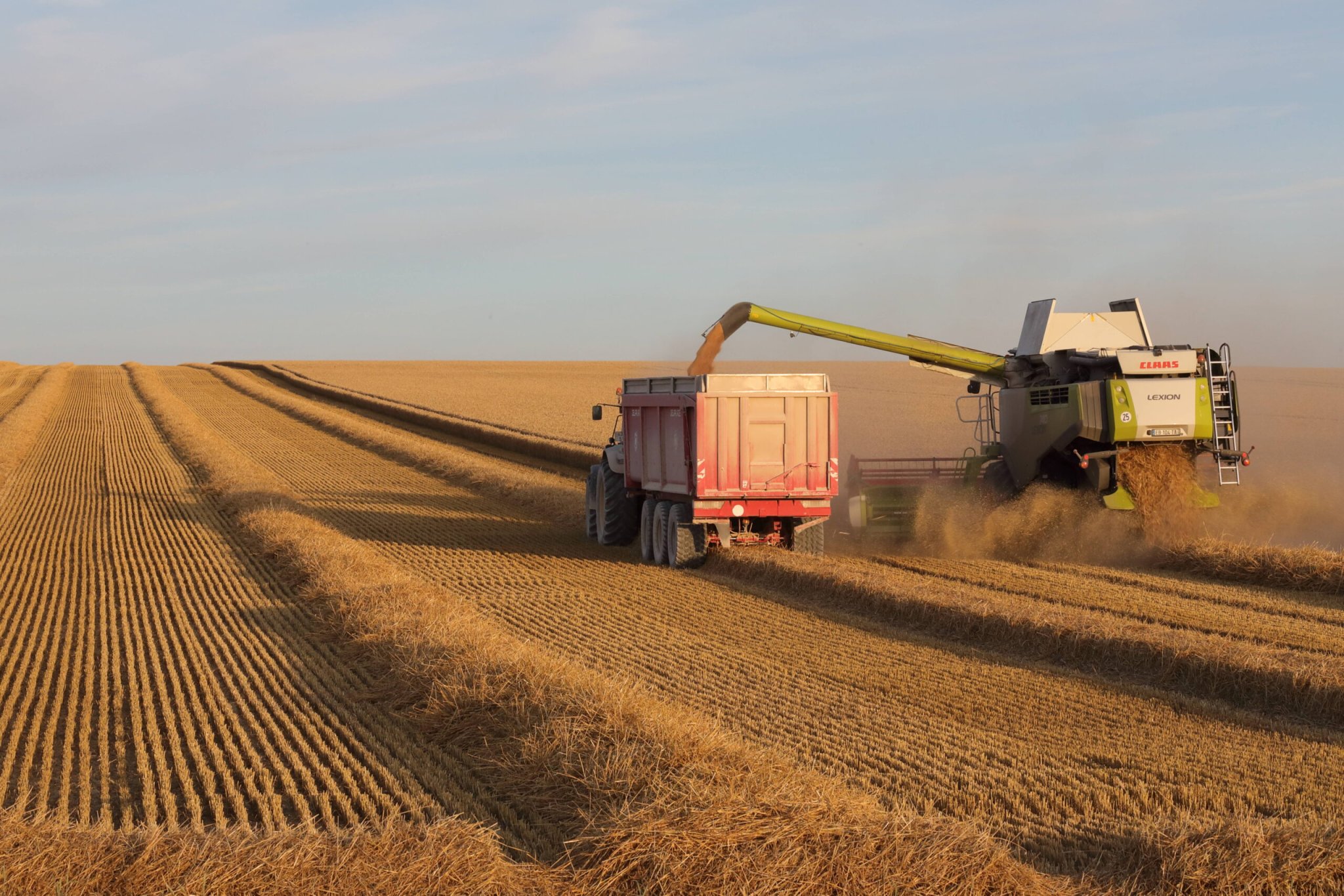 Le Sénat a achevé l’examen du projet de loi d’orientation agricole : un texte fleuve et de nombreuses mesures polémiques