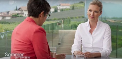 Der Shitstorm an das ZDF für Weidel-„Sommerinterview“ ist verdient