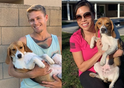 Tragedy to Triumph: An Update on Penny, One of Fauci’s Surviving Beagles, Now in California