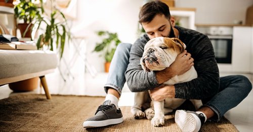 The One Thing You Should Never Do If You Want Your Dog to Respect You