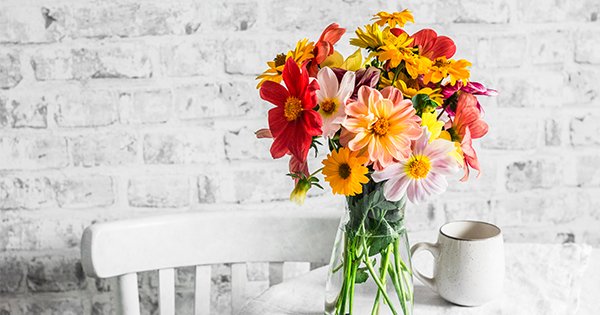 13 Long-Lasting Flowers That Won’t Wilt the Second You Bring ‘Em Home
