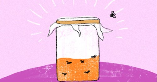Try This DIY Fruit Fly Trap to Get Rid of Those Pesky Insects Once and for All