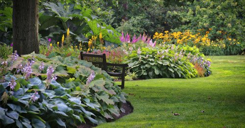 21 Best Shade Perennials for Your Not-So-Sunny Garden