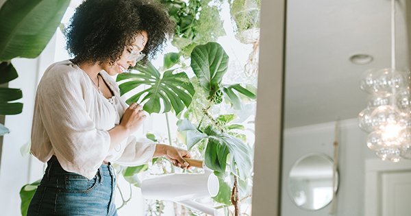 The 17 Best Indoor Hanging Plants to Elevate Your Space