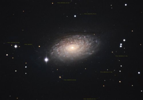 Pictures of the Sunflower Galaxy