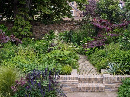Planting for a dry and shady urban garden