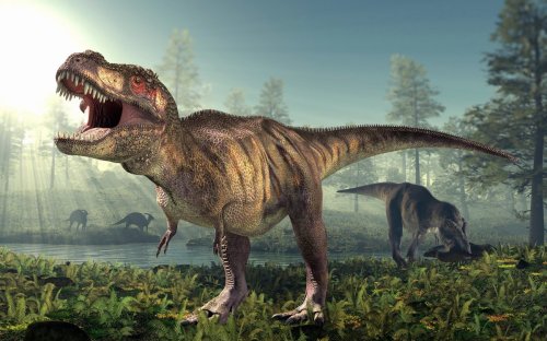 It was 4 meters tall, twice as heavy as an elephant, had teeth 30cm long and needed 140kg of meat per day - meet the fiercest, deadliest predator of all time | Discover Wildlife