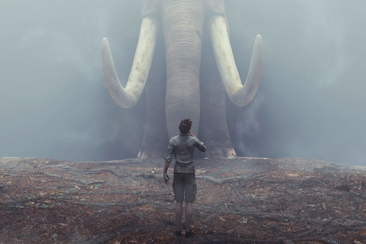 Ancient elephant skull found buried with 87 stone tools in Indian