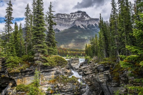Dinosaur hunters just made a monstrous discovery in the Canadian Rockies