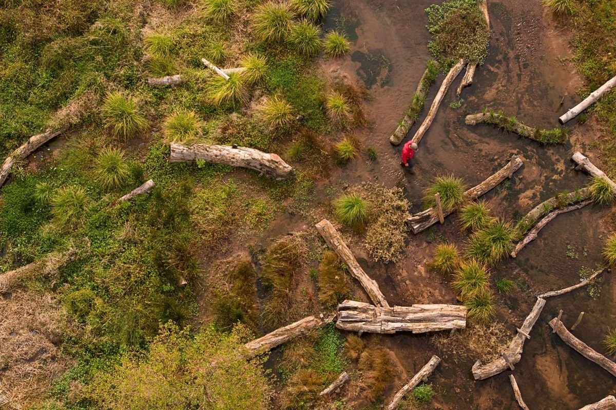 'Stage Zero' has arrived in Britain. Here's what that means Flipboard