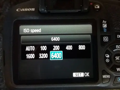 What is ISO in photography? A quick guide