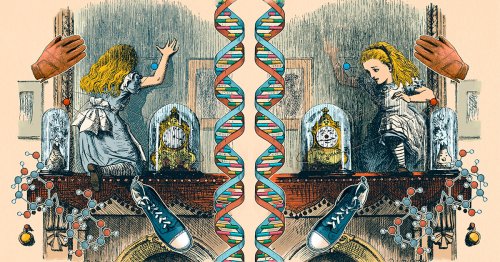 How the Universe Differs From Its Mirror Image
