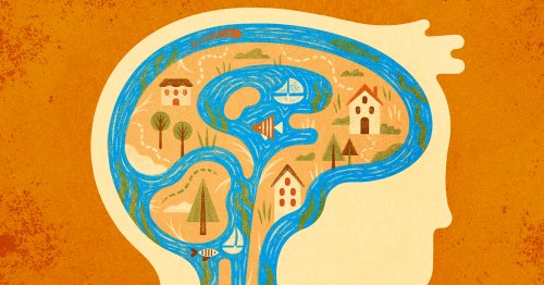 The Mysterious Flow of Fluid in the Brain
