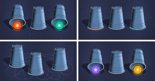 ‘Paraparticles’ Would Be a Third Kingdom of Quantum Particle