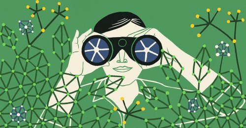 New Proof Settles Decades-Old Bet About Connected Networks