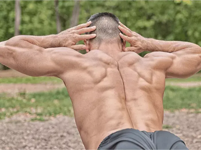 Back Workout cover image