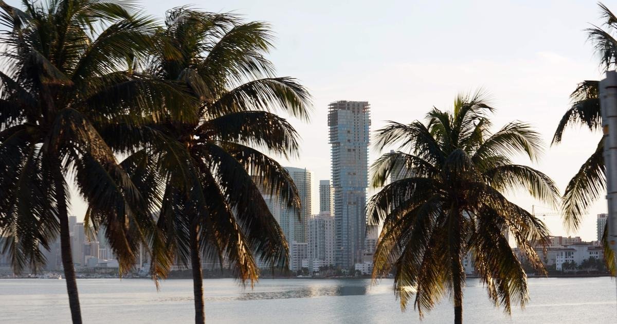 Miami’s tech boom started with a tweet but is sustained by more than hype
