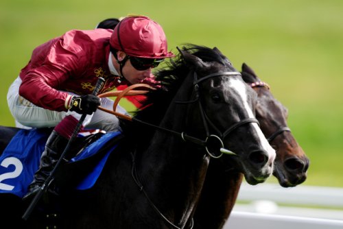 Epsom debutant Jackknife looks smart prospect in the making