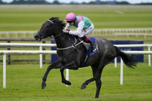 Field Of Gold poised to be sole Juddmonte runner in 2000 Guineas