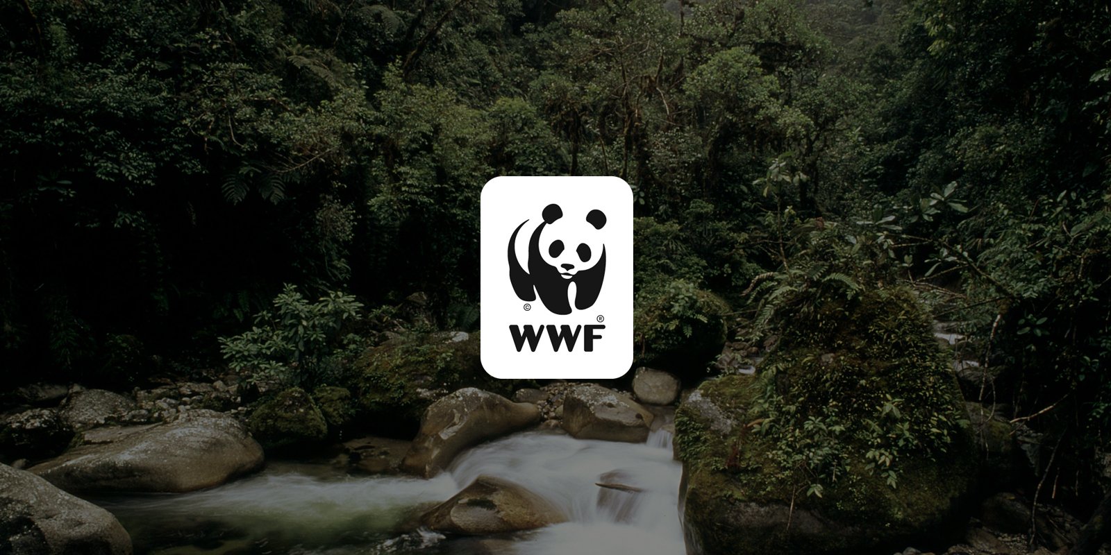 Marcene Mitchell | Leaders | WWF
