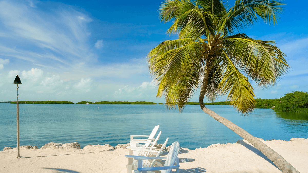 34 Fun Things to Do in Florida