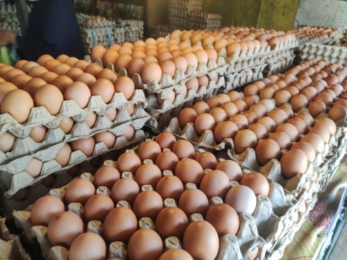 Egg prices coming down slowly, but still near historic highs