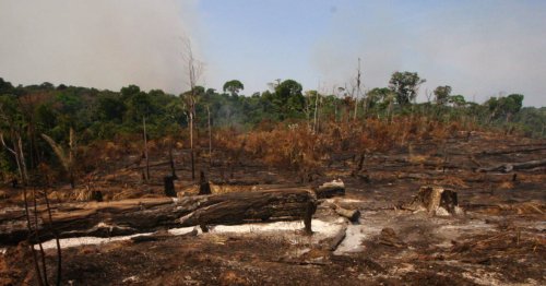 Brésil : la Cour suprême décidera-t-elle de l’expulsion des Amérindiens ?