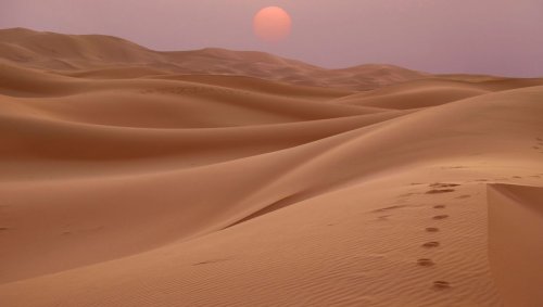 Les paradoxes inspirés