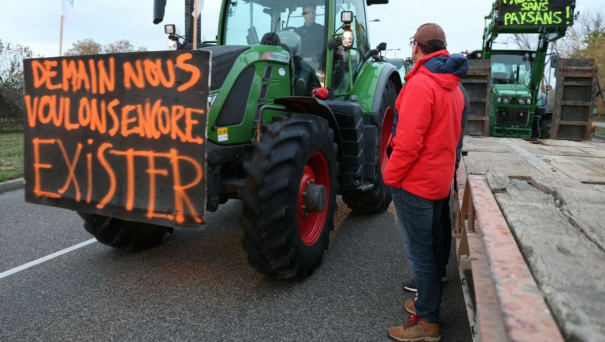 Revenus des agriculteurs : pour une production mieux rémunérée