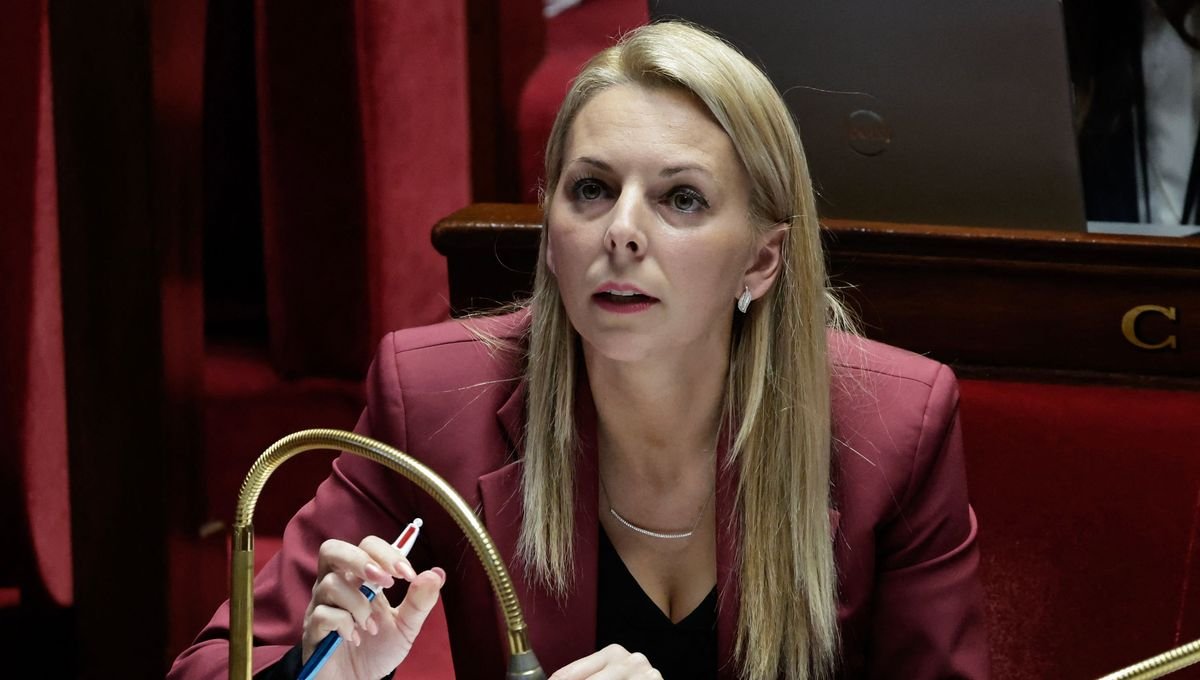 Edwige Diaz (RN) : “Nous sommes en campagne permanente”
