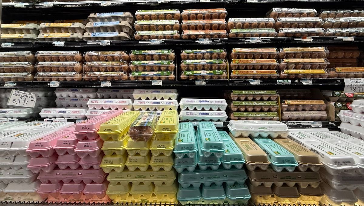 Le bourbon et les oeufs, l'économie en vrai