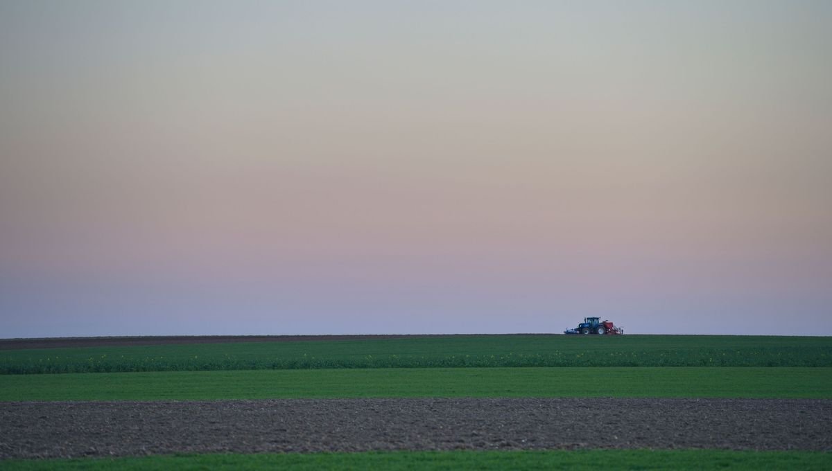 Beauce : no grain no gain