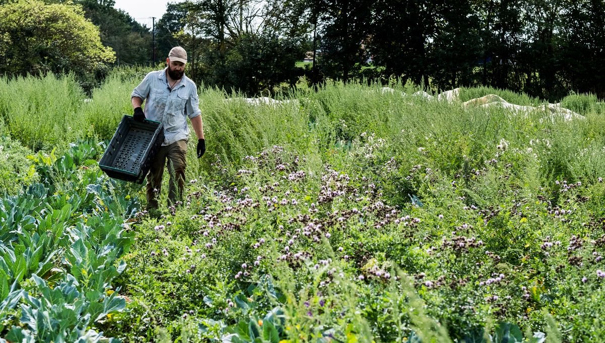 Un monde sans pesticides