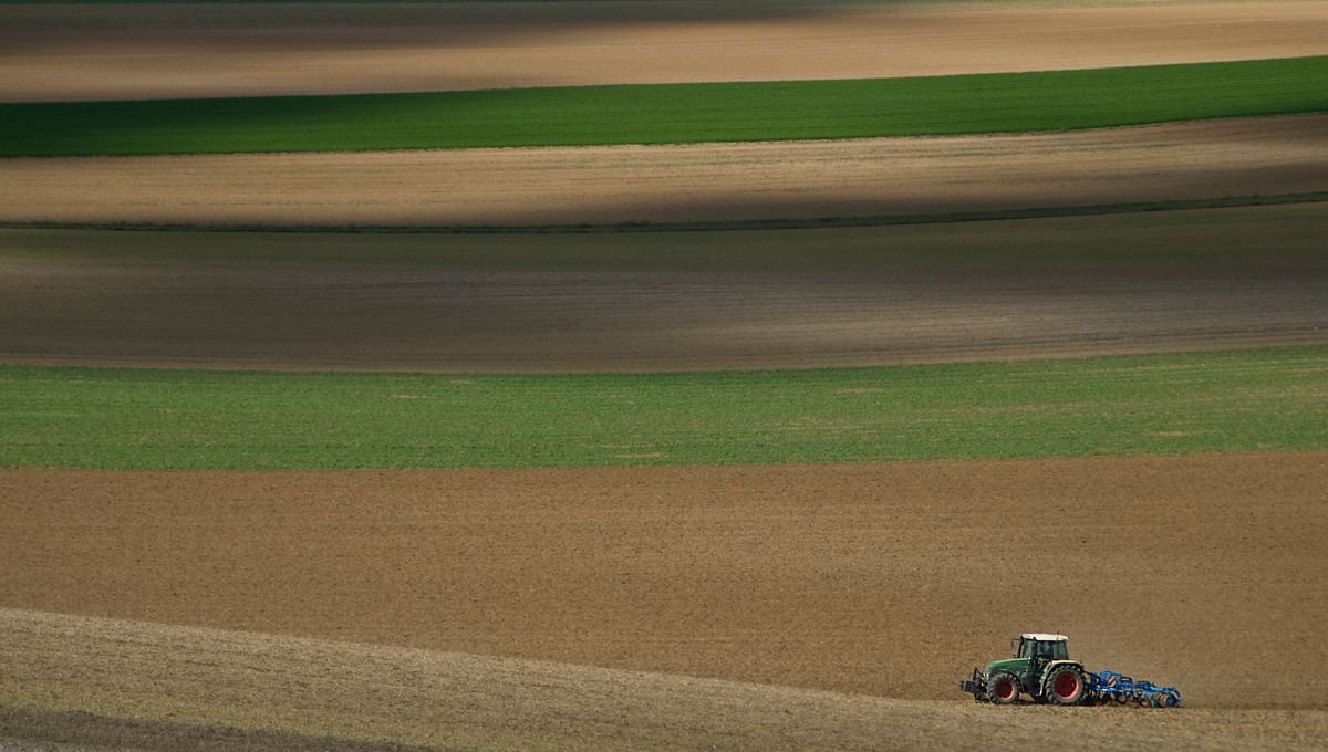 Terres agricoles : nourrir ou produire : épisode 2/4 du podcast Écologie et résistances