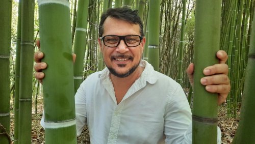 'Bamboo for life' : des bambousaies pour traiter les eaux usées