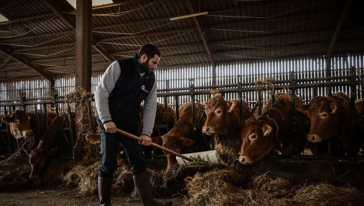 La relève agricole