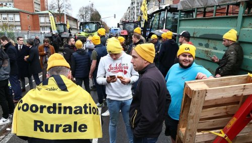 Un agriculteur au bord de la crise de nerfs