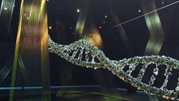 Le géant de l’analyse ADN, 23andMe, fait faillite : quel avenir pour les profils génétiques de ses 15 millions de clients ?