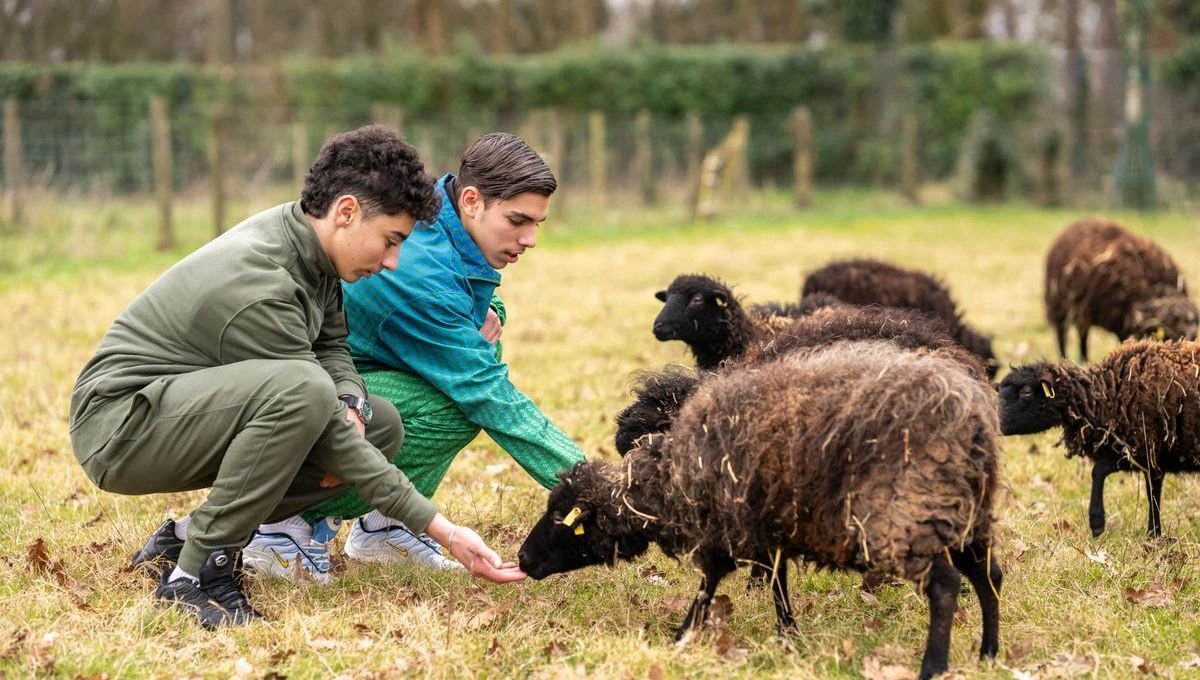 À la Ferme de Paris, dans le Bois de Vincennes, à l’occasion des 10 ans du projet Parisculteurs