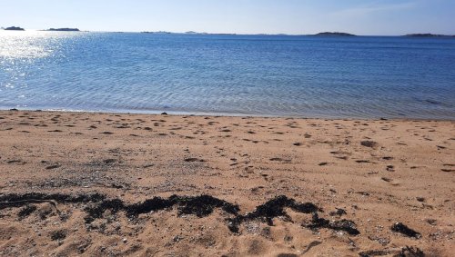Extraction du sable marin : le fléau invisible