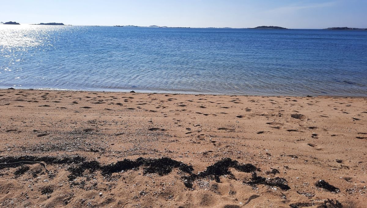 Extraction du sable marin : le fléau invisible