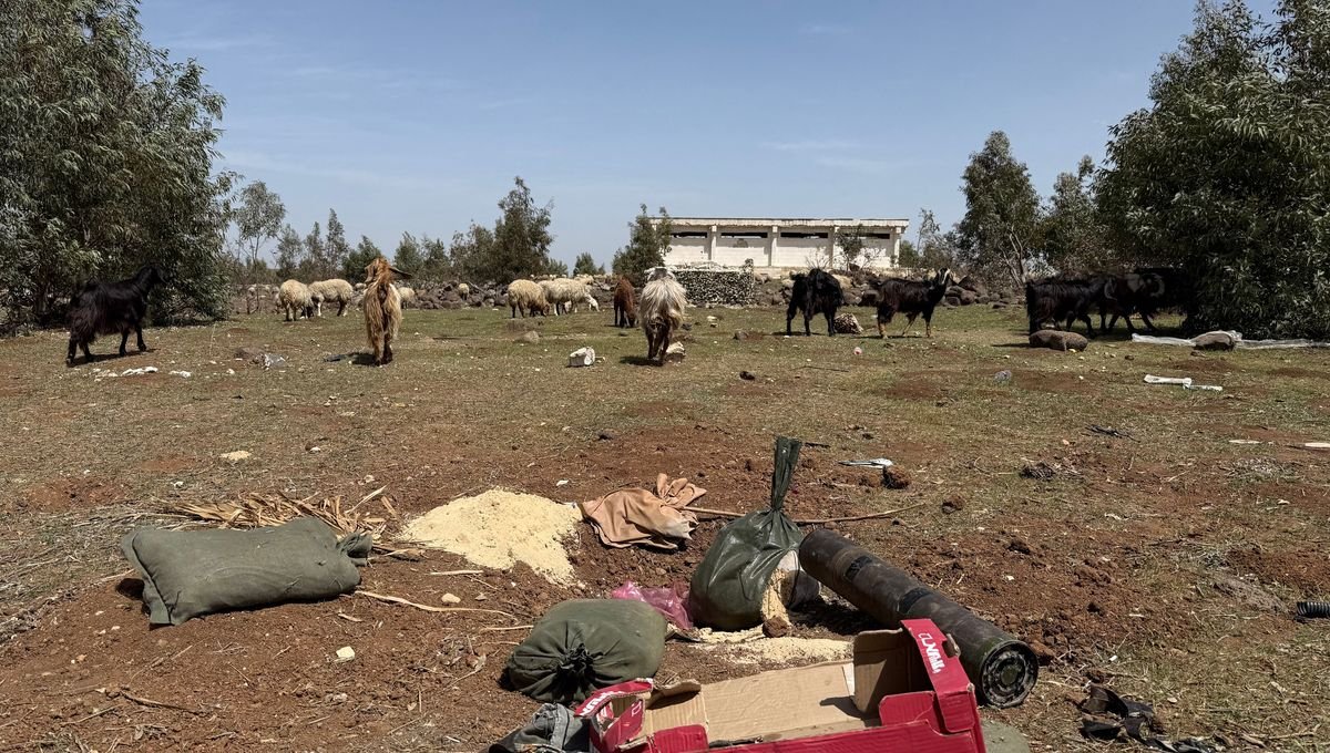 En Syrie, les incursions israéliennes visent les ressources en eau