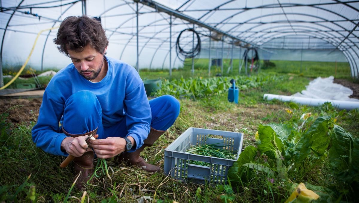 Agriculture : qu’est-ce qui ne tourne pas rond ?